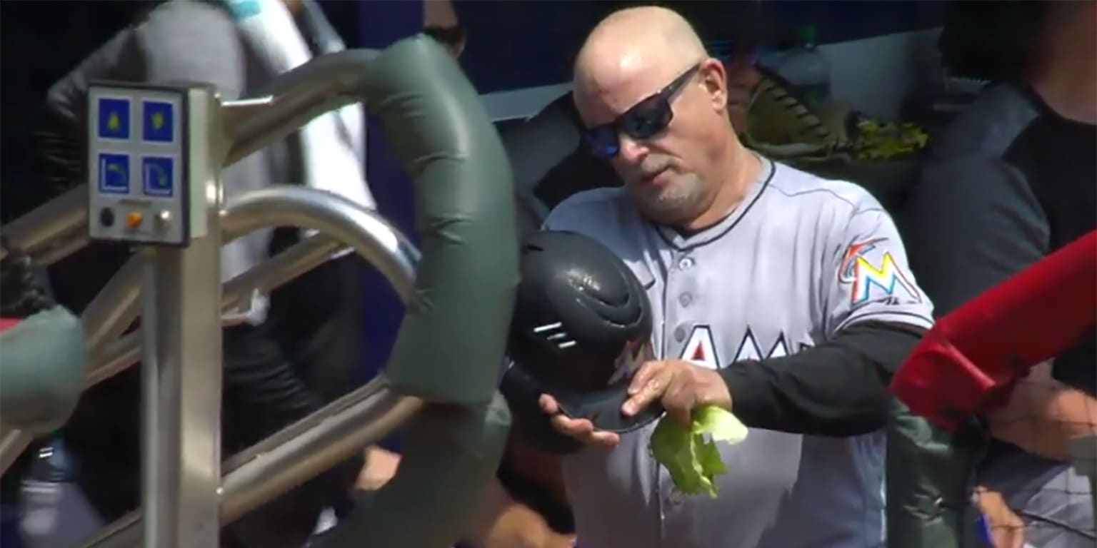 The Marlins' firstbase coach used wet pieces of lettuce under his