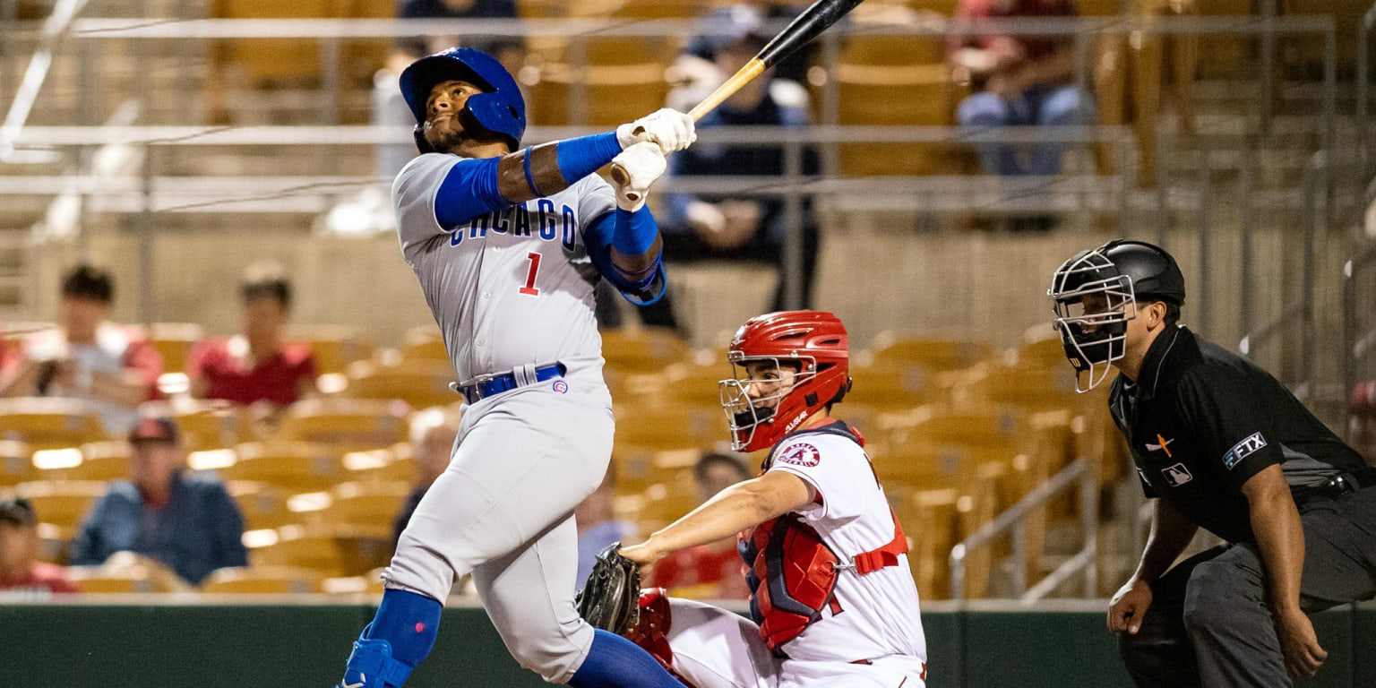 Cubs Protect Velazquez and Roberts from the Rule 5 Draft