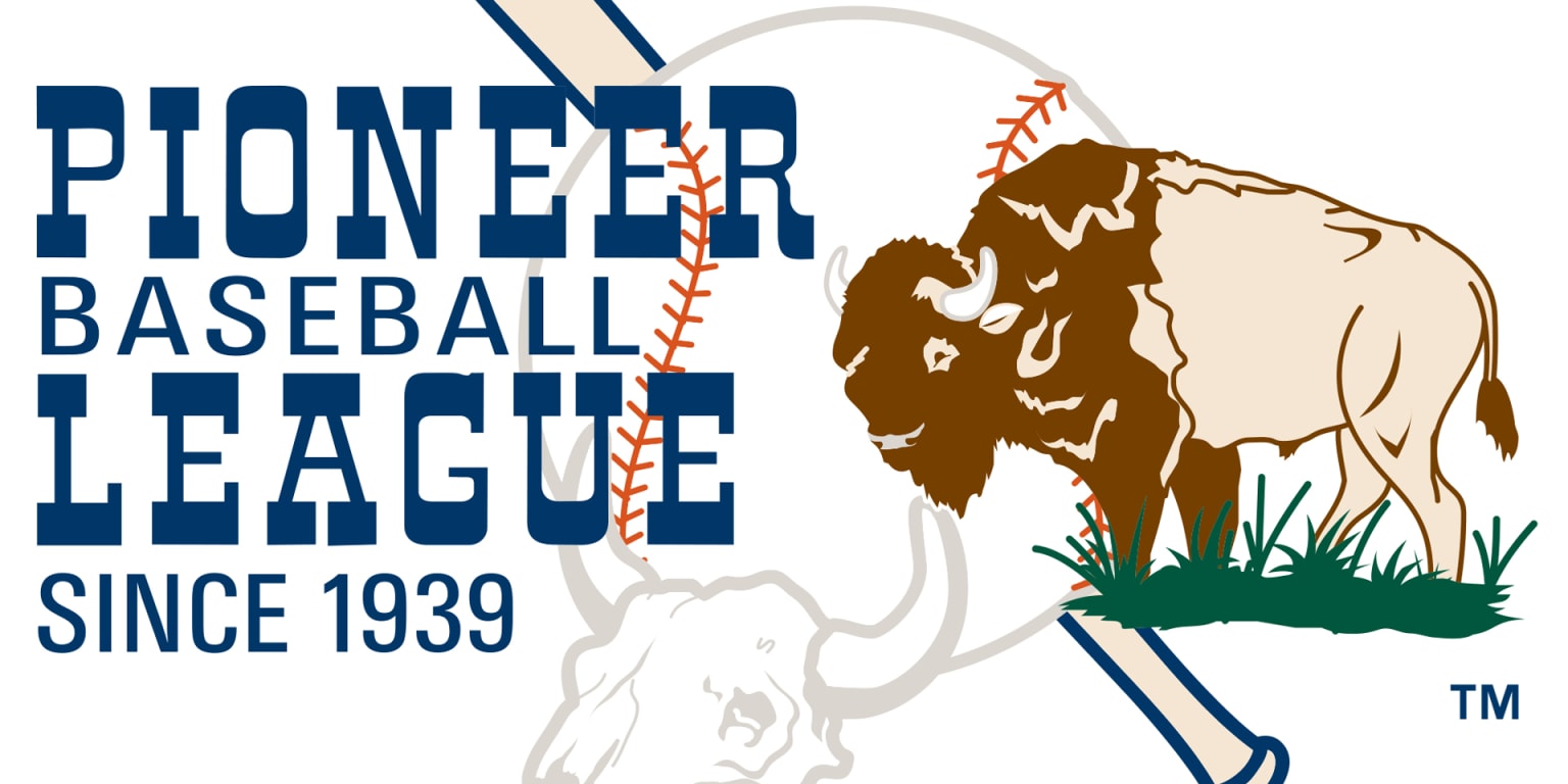 American Association of Professional Baseball - MLB Partner League