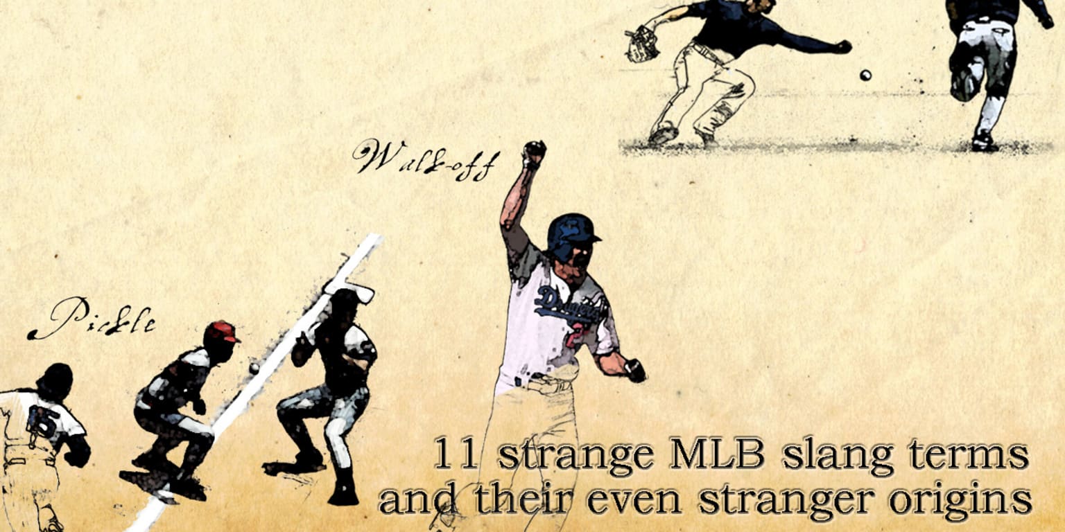 The crazy stories behind 19 of the weirdest baseball team names from around  the world