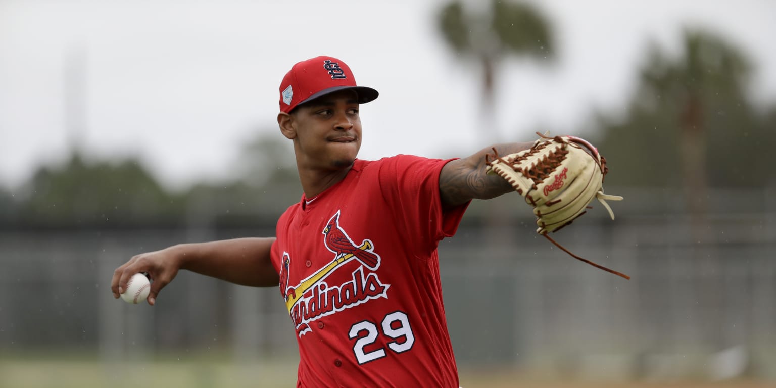 St. Louis Cardinals: Austin Gomber gets his crack at the rotation