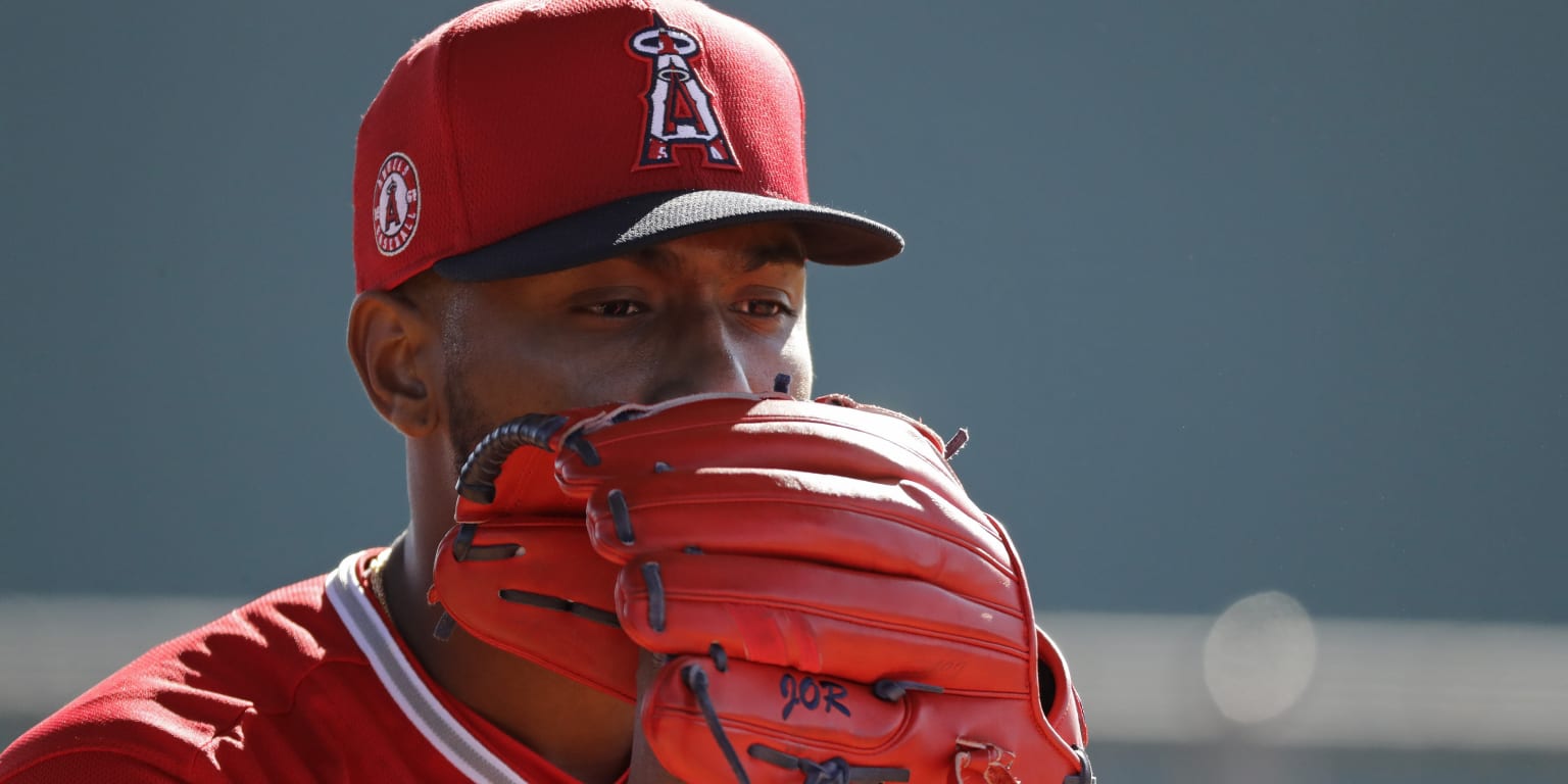 Detroit Tigers starter Julio Teheran scratched before start with