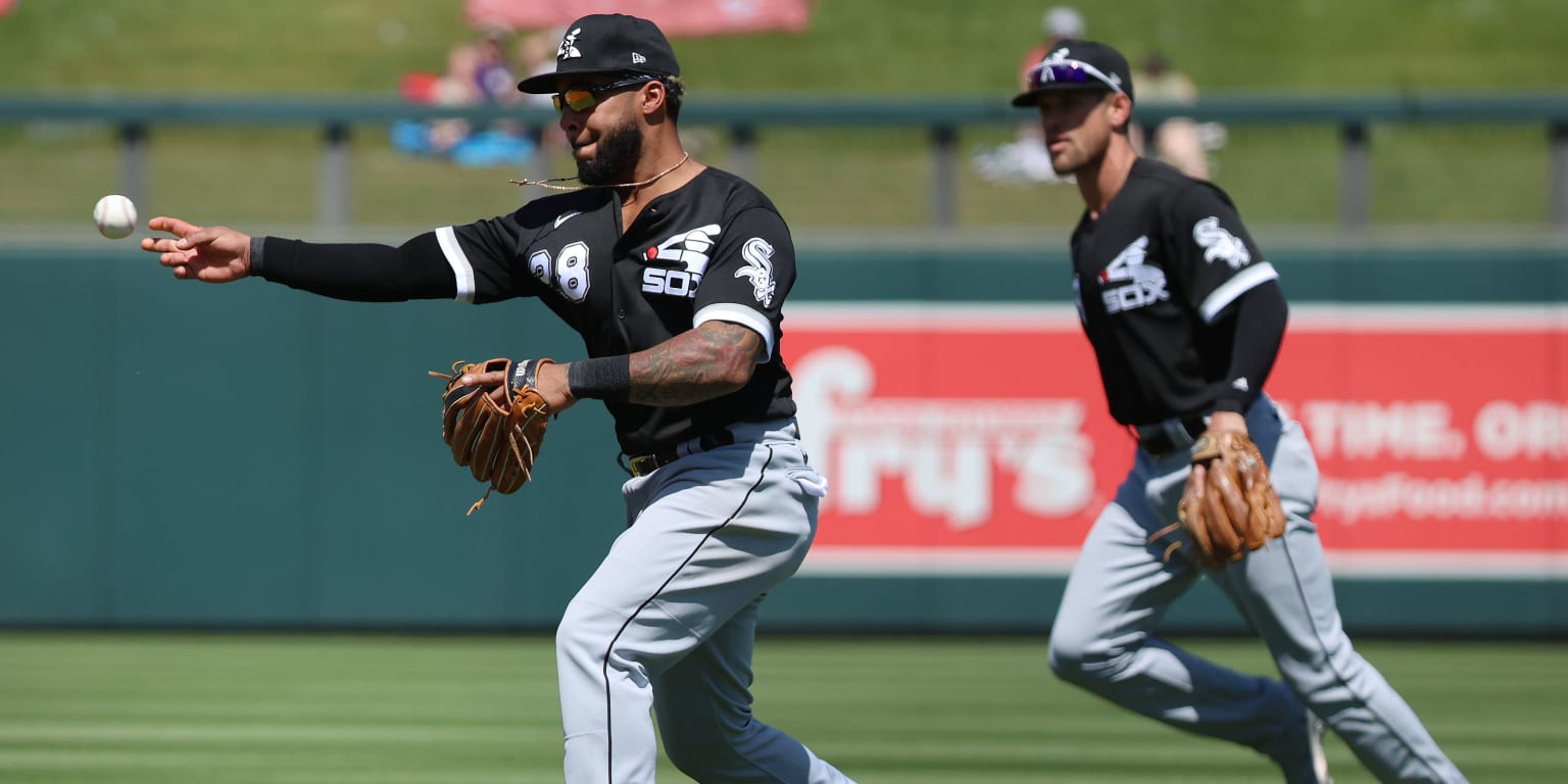 Chicago White Sox: This is the perfect bullpen setup for 2021
