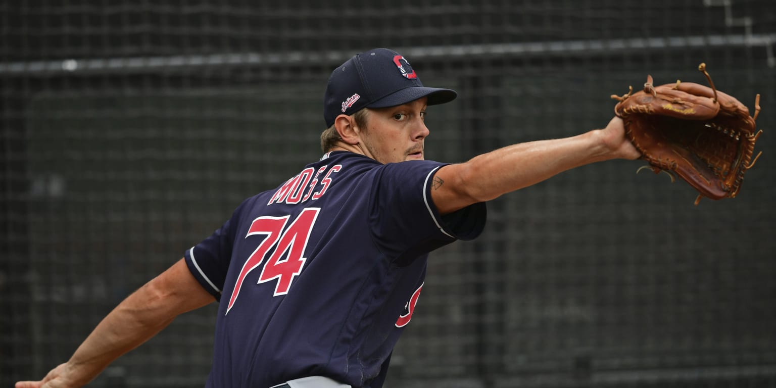 Update on Indians' Minor League system - Vimarsana News