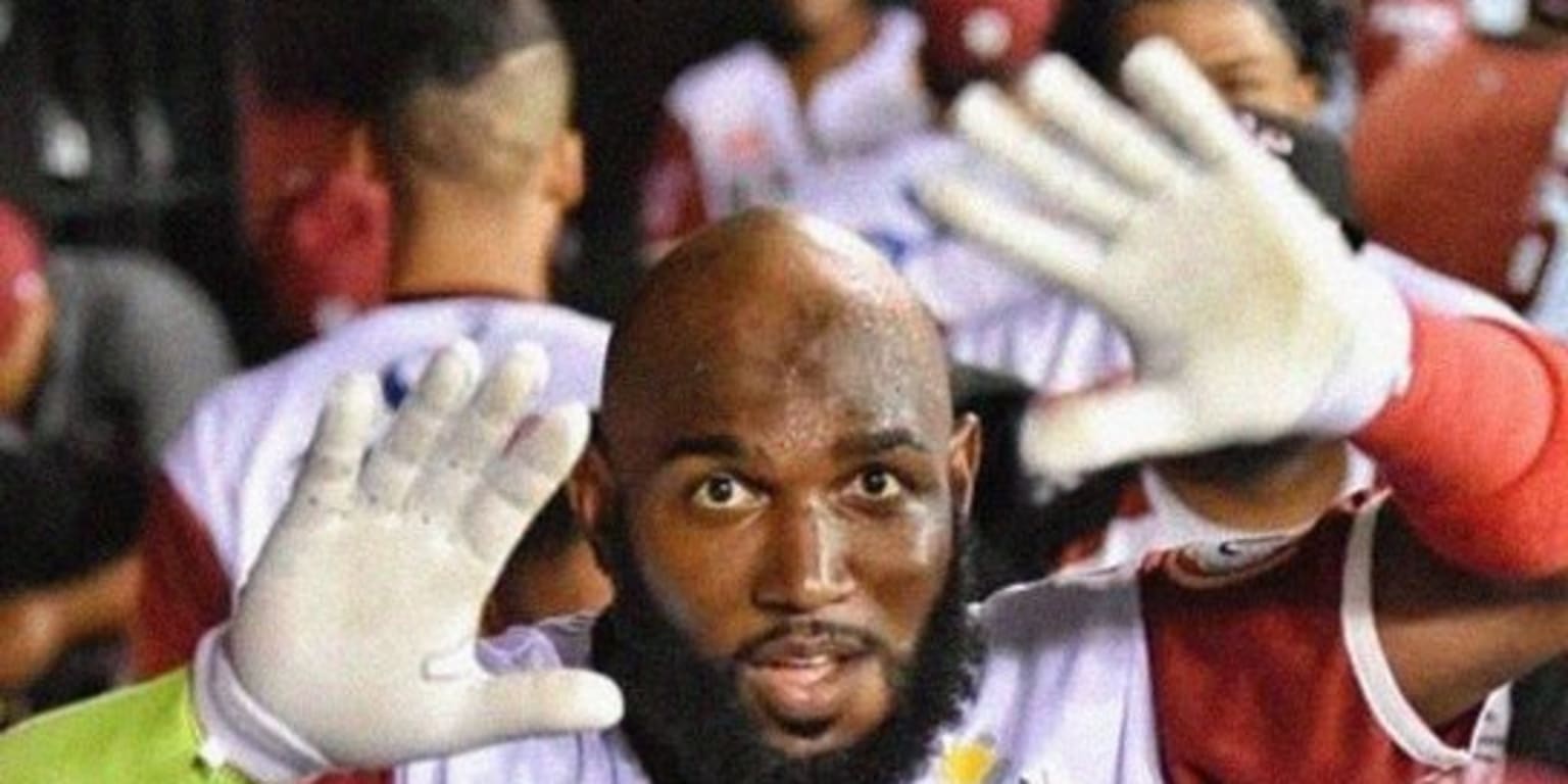 Marcell Ozuna, el jonronero que se toma “selfies” y adelanta a Gigantes del  Cibao en la final del beisbol en Dominicana (Video) - La Opinión