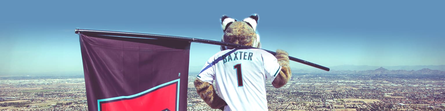 Baseball Wallpapers » Arizona Diamondbacks Mascot Baxter  Baseball  wallpaper, Dbacks baseball, Diamondbacks baseball