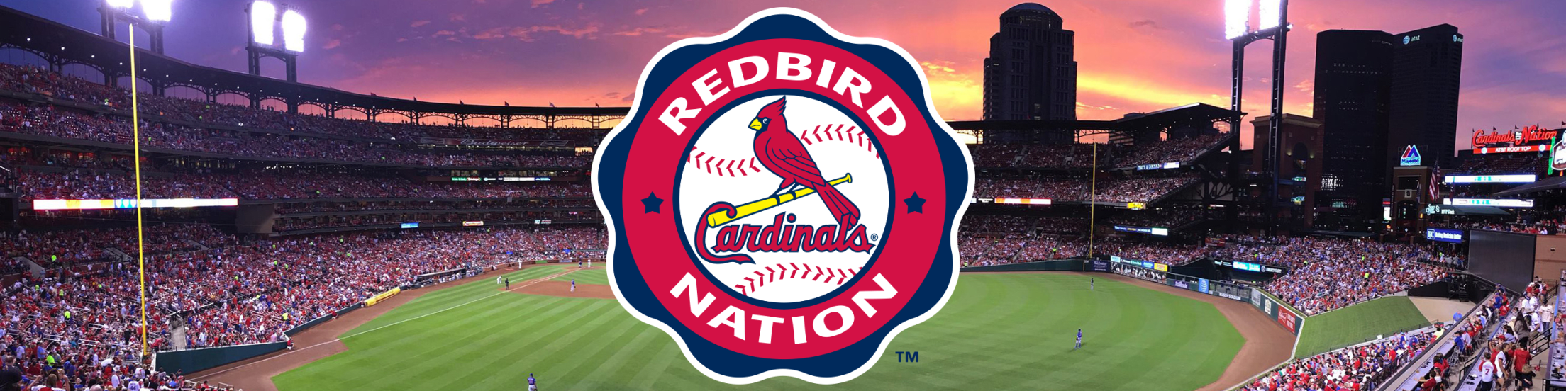 Congrats to the 19 #Redbirds promoted to the St. Louis Cardinals