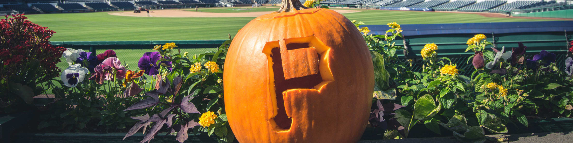 pumpkin-stencils-pittsburgh-pirates