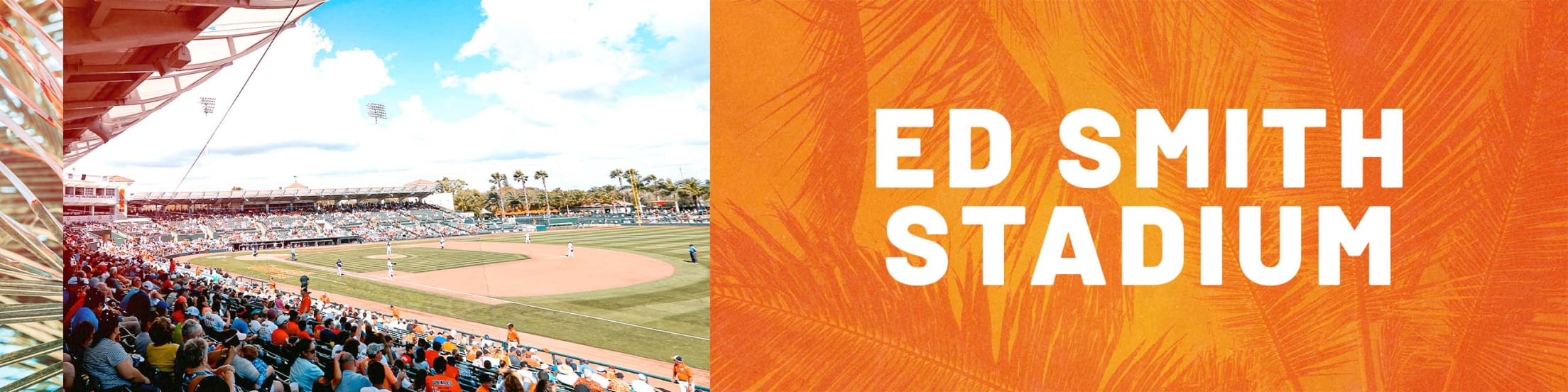 Baltimore Orioles Spring Training Gift Guide