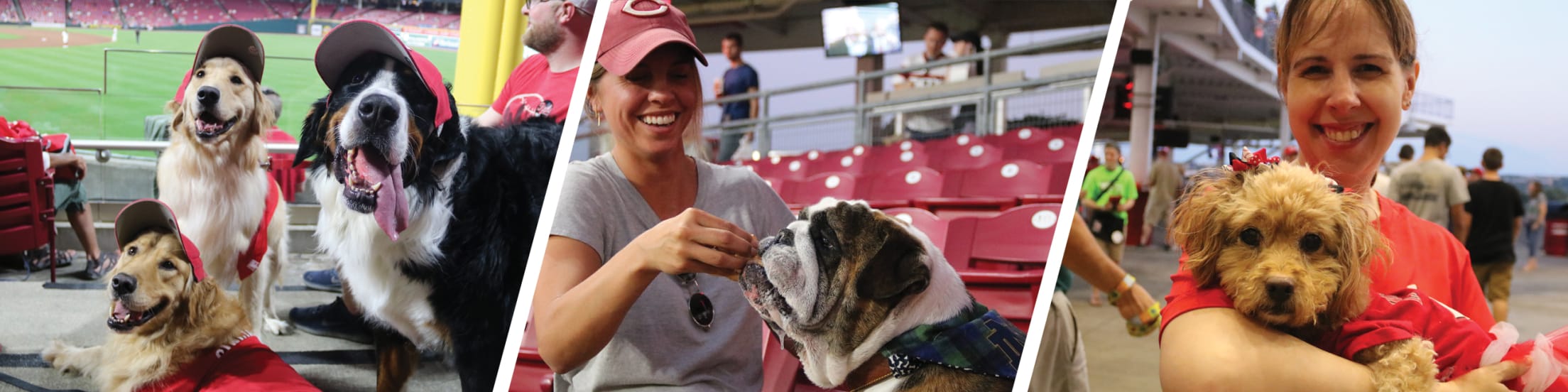 BringFido to Bark at the Park with the Cincinnati Reds