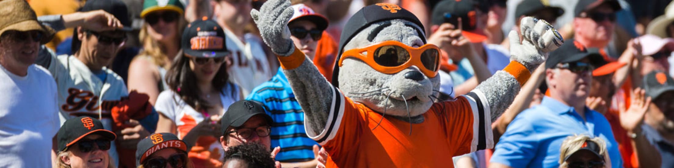 San Francisco, CA: San Francisco Giants mascot Lou Seal gives out