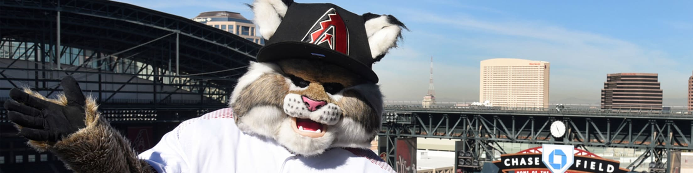 Arizona Diamondbacks snake logo at Chase Field with high rise