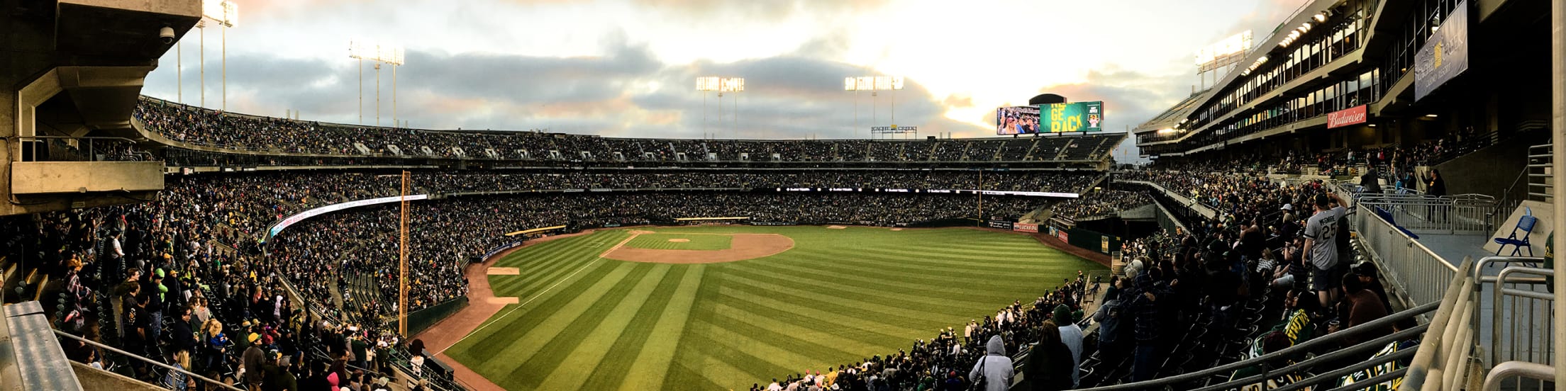 Oakland Coliseum: Home of the Athletics