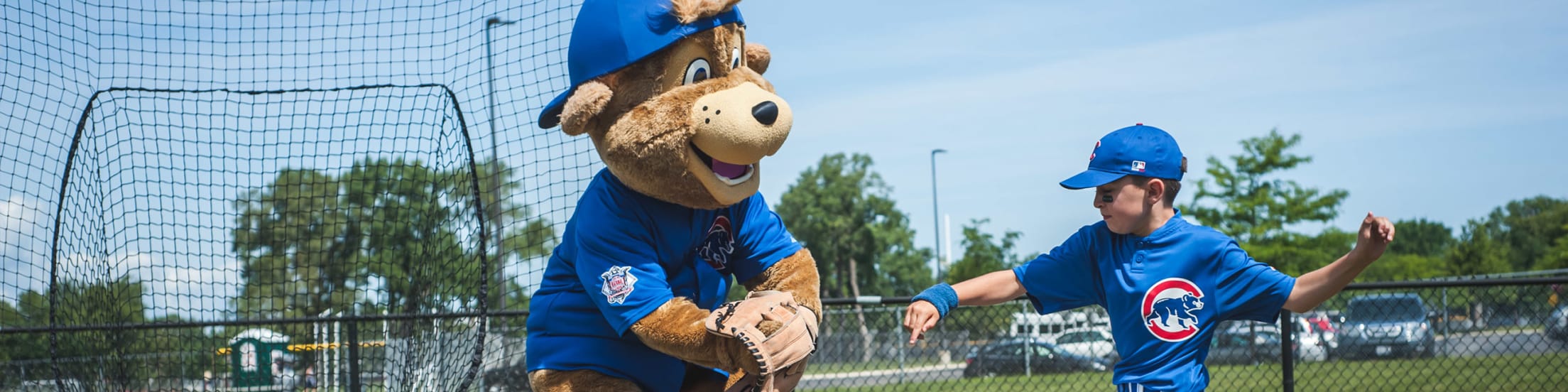 Cubs Baseball Summer Camps