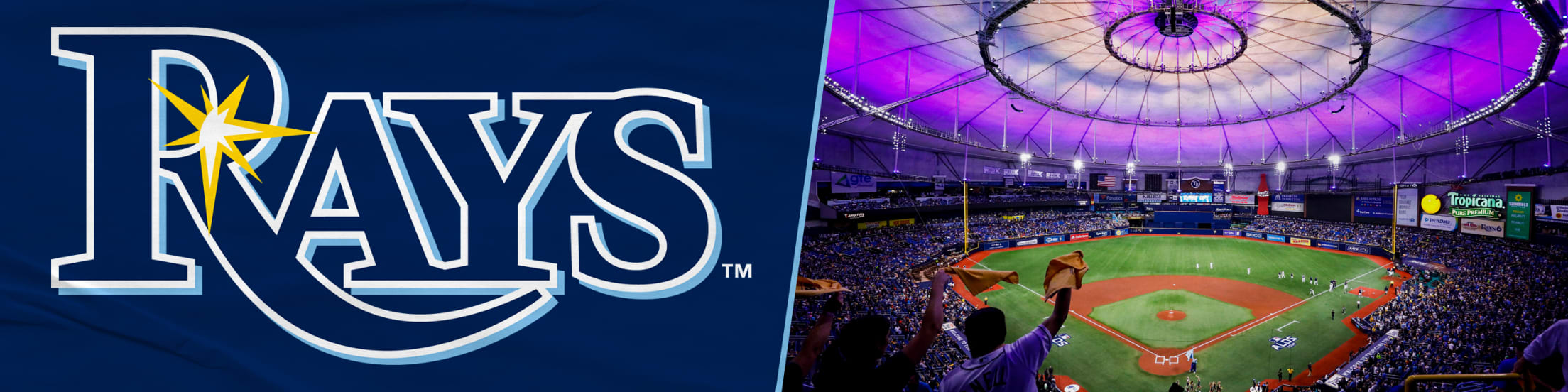 Tampa Bay Rays - If you are a Rays fan, please join the