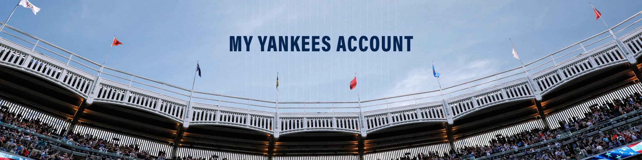 My yankees on sale