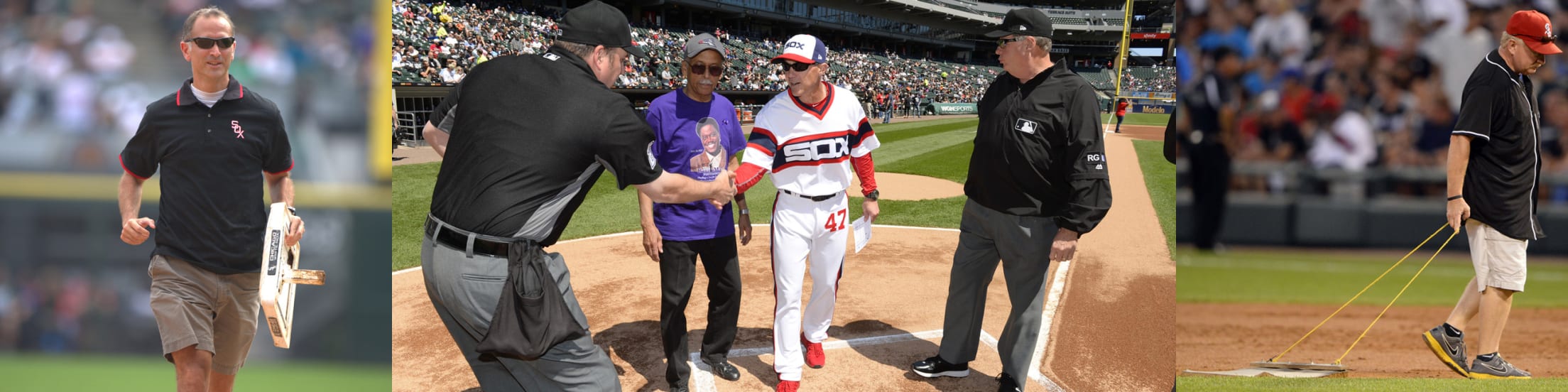 White Sox Fan Experiences Chicago White Sox