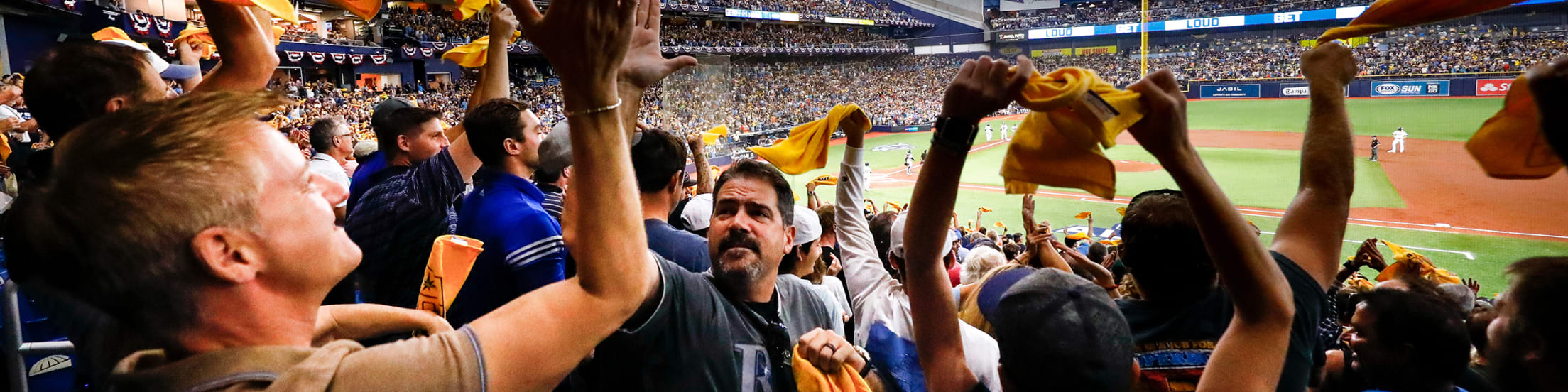 Rays Watch Party, Fans