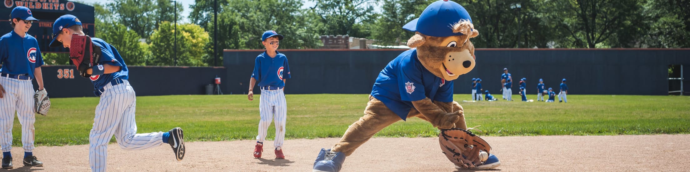 Cubs Baseball Summer Camps