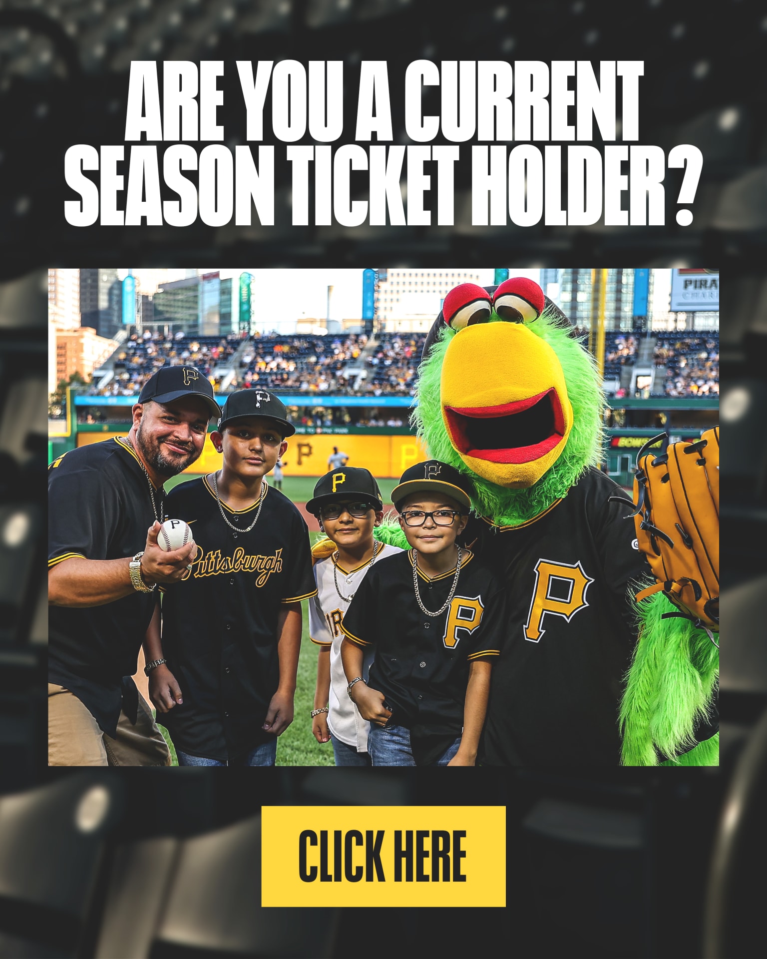 Massachusetts Pirates - Lock in your 2023 season tickets. these