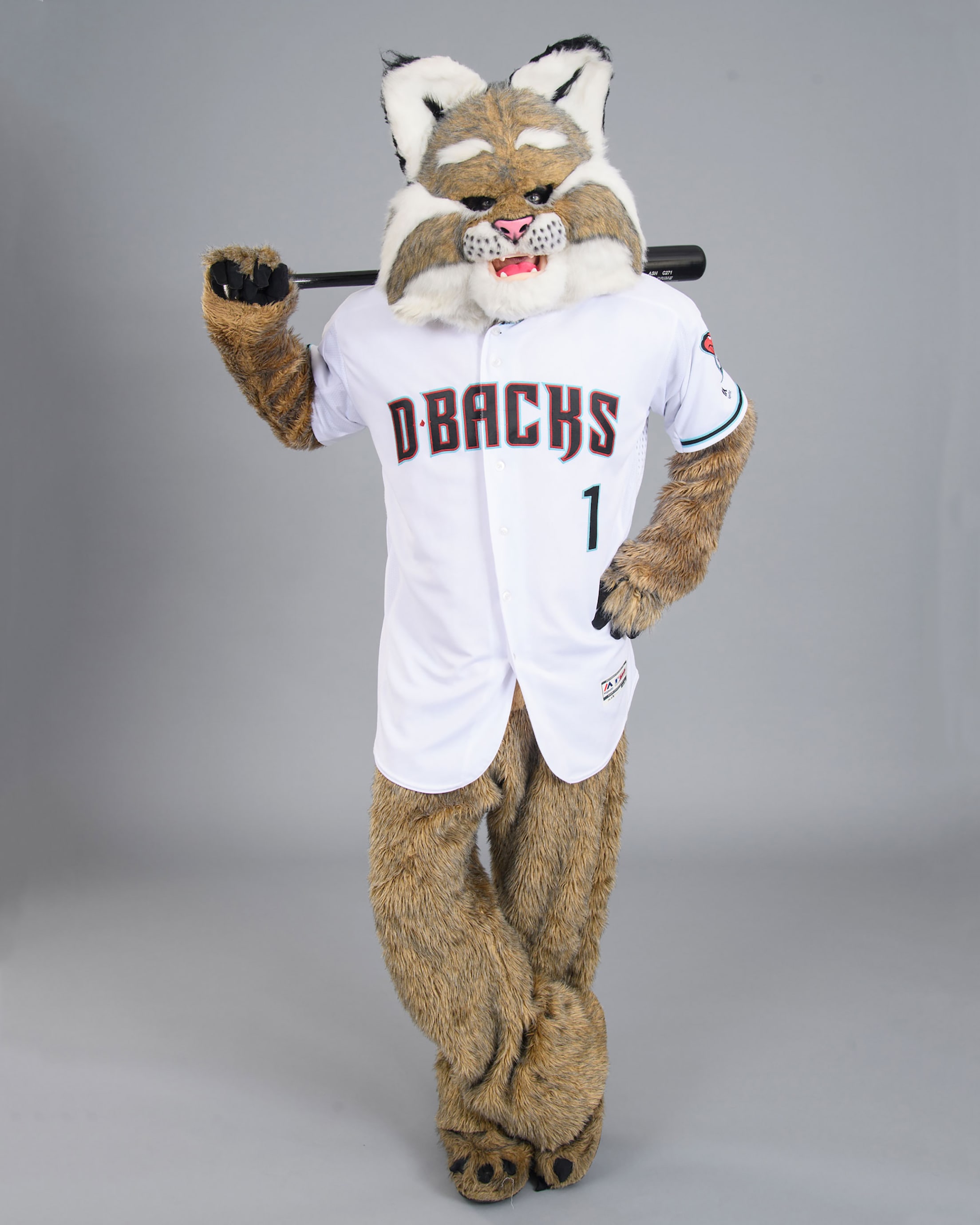 15 SEPTEMBER 2015: Arizona Diamondbacks Mascot Baxter gestures towards the  camera during the Major League Baseball game between the San Diego Padres  and the Arizona Diamondbacks at Chase Field in Phoenix, Ariz.