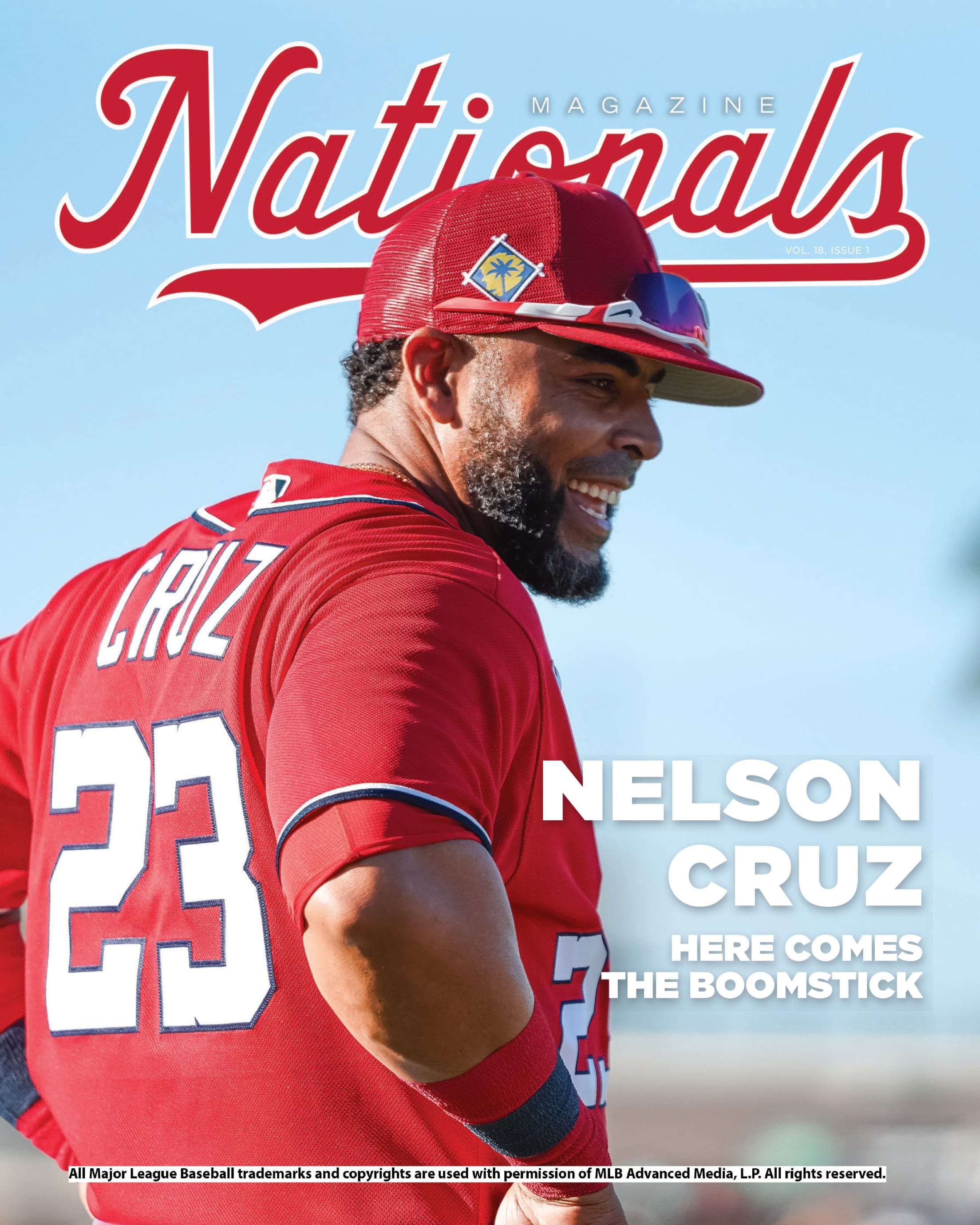 Washington Nationals 2022 12x12 Team Wall Calendar: 9781469386355:  : Books