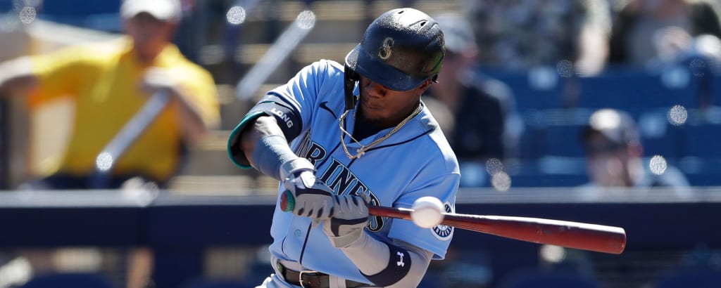 long_shed_spring_bat_2610