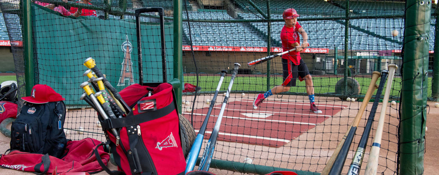 OnField Batting Practice Angel Stadium Los Angeles Angels