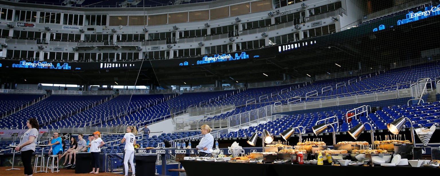 Warning Track/Dugouts Miami Marlins