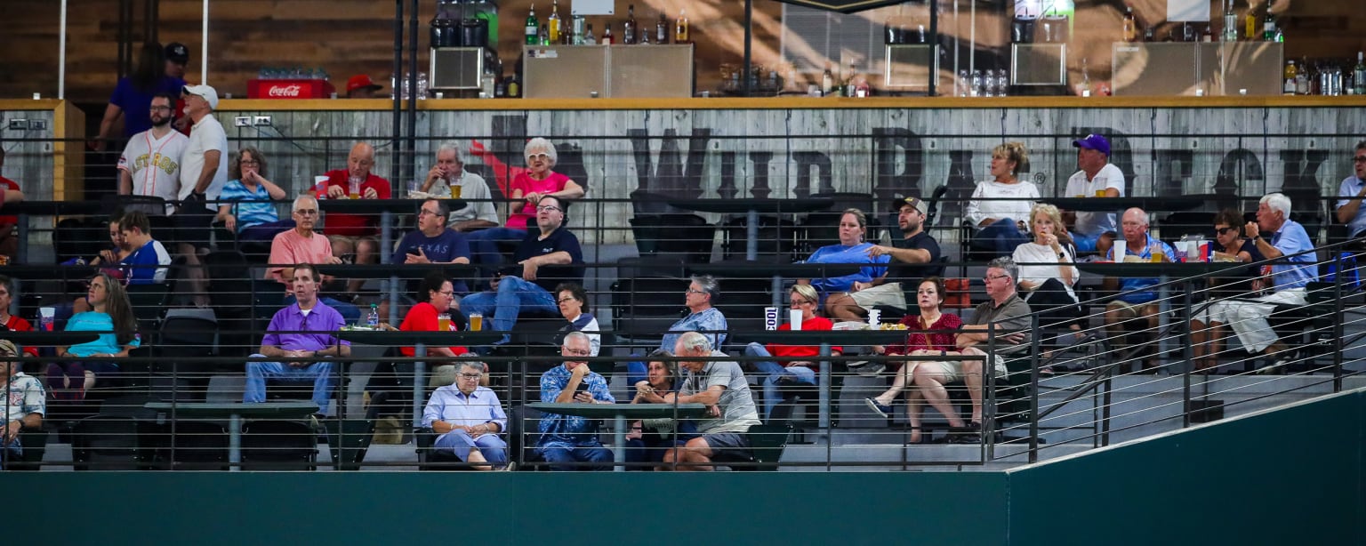 Globe Life Field Wild Rag Deck 