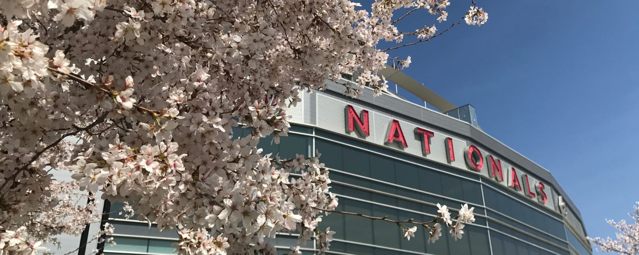 mlb store nationals