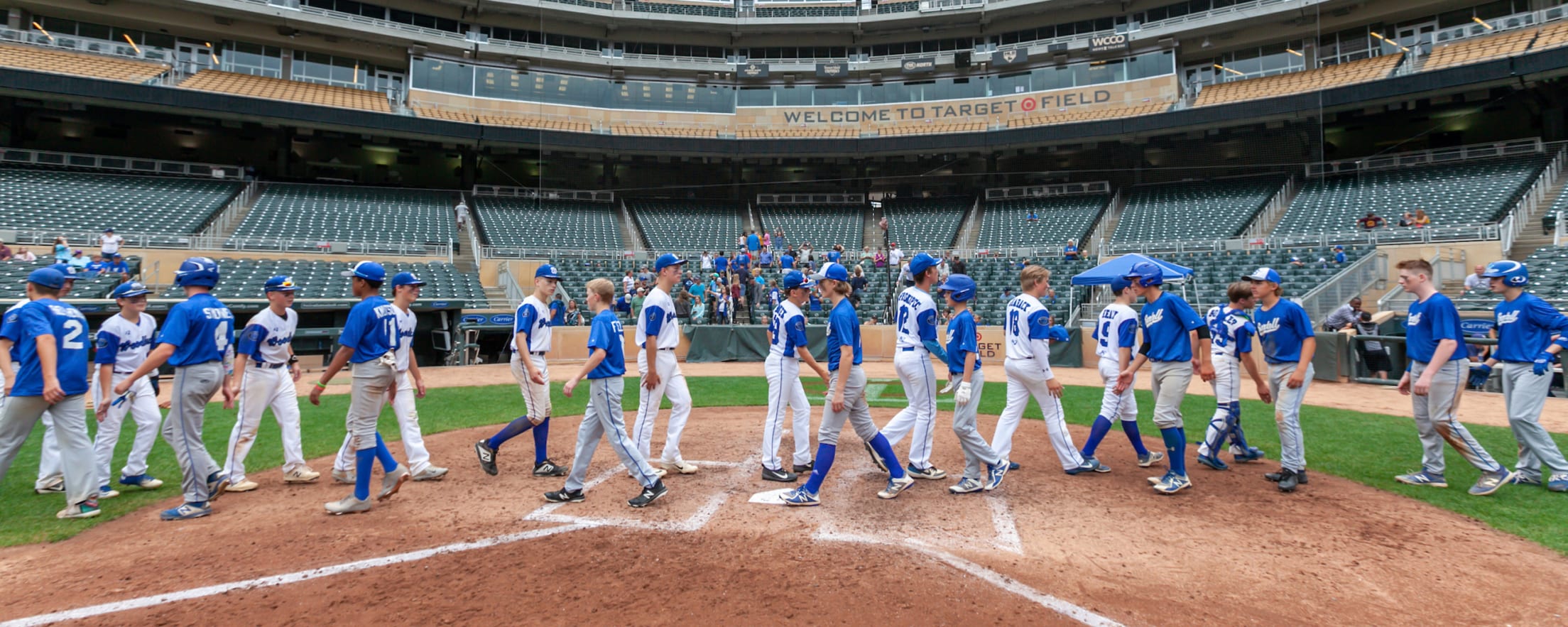 Minnesota Wild - ⚾️ Play Ball! The Minnesota Twins are