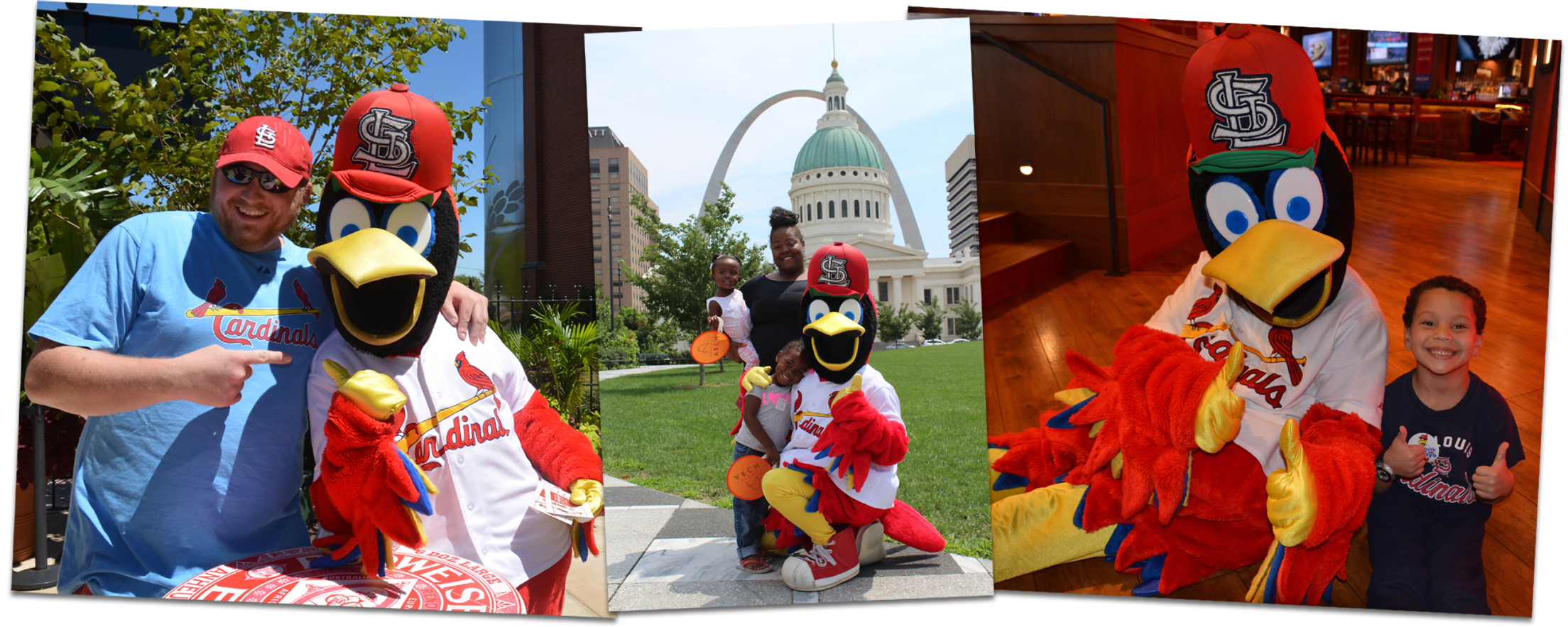 St. Louis Cardinals - Join us Friday at noon at On the Run in Wentzville  (42 West Hwy N) for Fredbird Friday! Fredbird will be there for photo ops  and to give