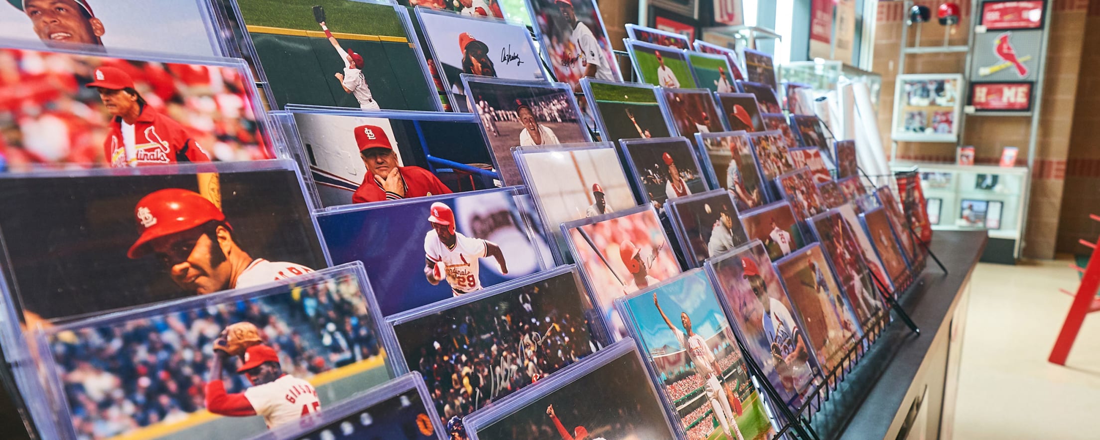 mlb shop cardinals
