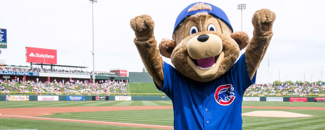 Chicago Cubs visited by bear cubs at spring training