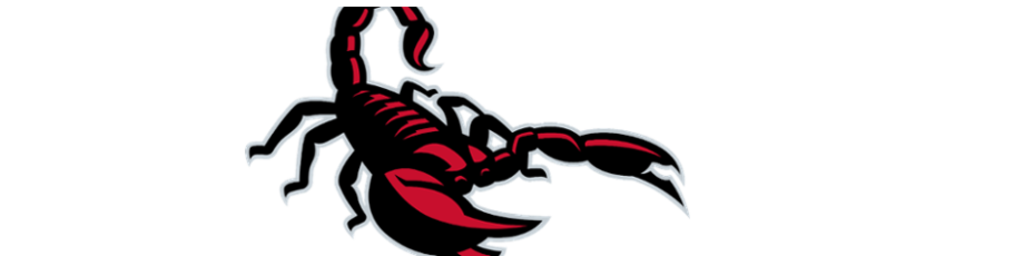 Scottsdale Scorpions | Arizona Fall League | MLB.com