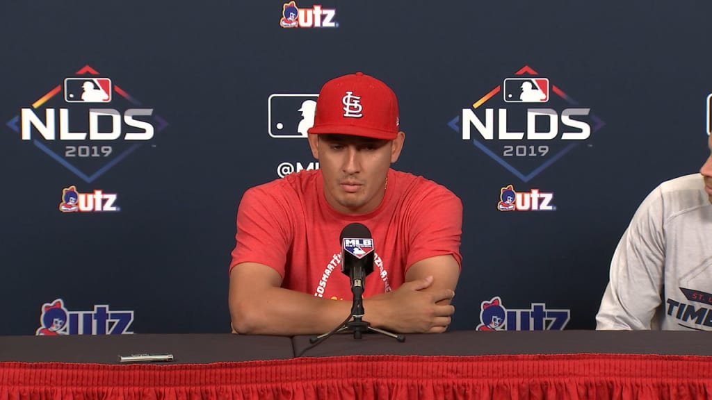 Gallegos sobre la SDLN