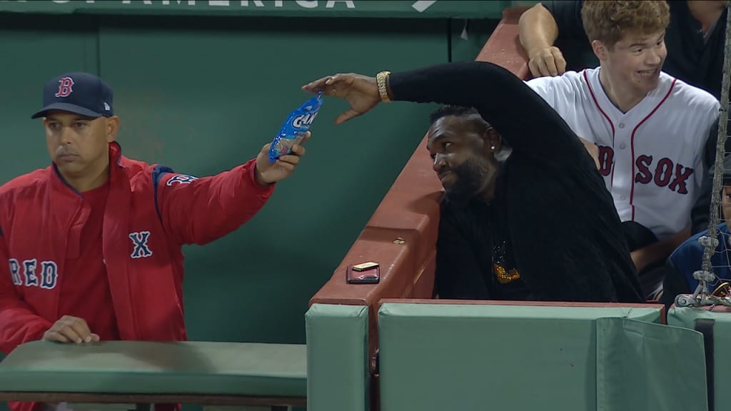 Cora le da semillas de girasol a Big Papi