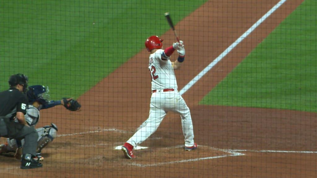 Cuadrangular solitario de Wieters  