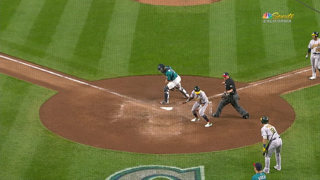 Elevado productor de Laureano