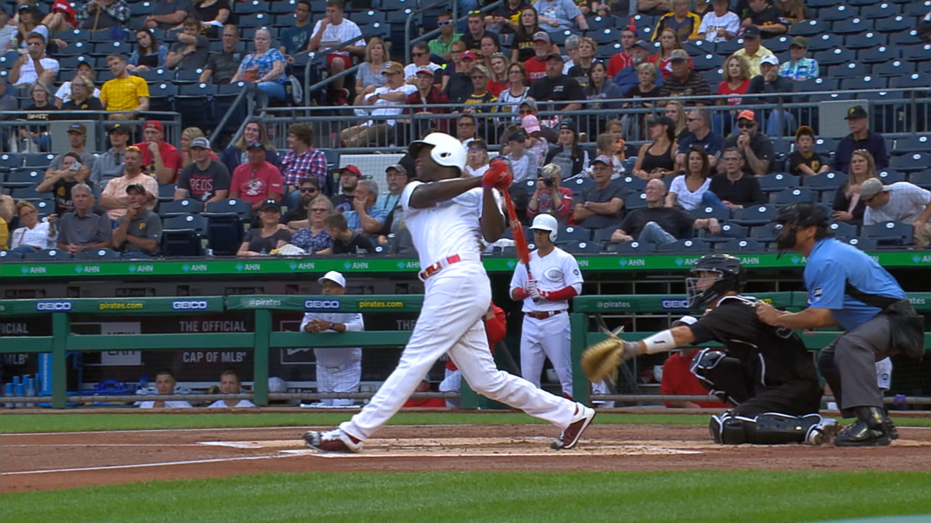 HR solitario de Aquino