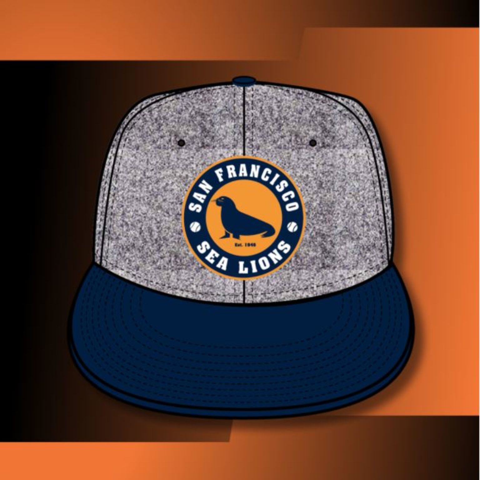 SFGiants on X: This year marks the 75th anniversary of the San Francisco  Sea Lions and the West Coast Negro Baseball Association. In celebration of  this anniversary, we will don these replica
