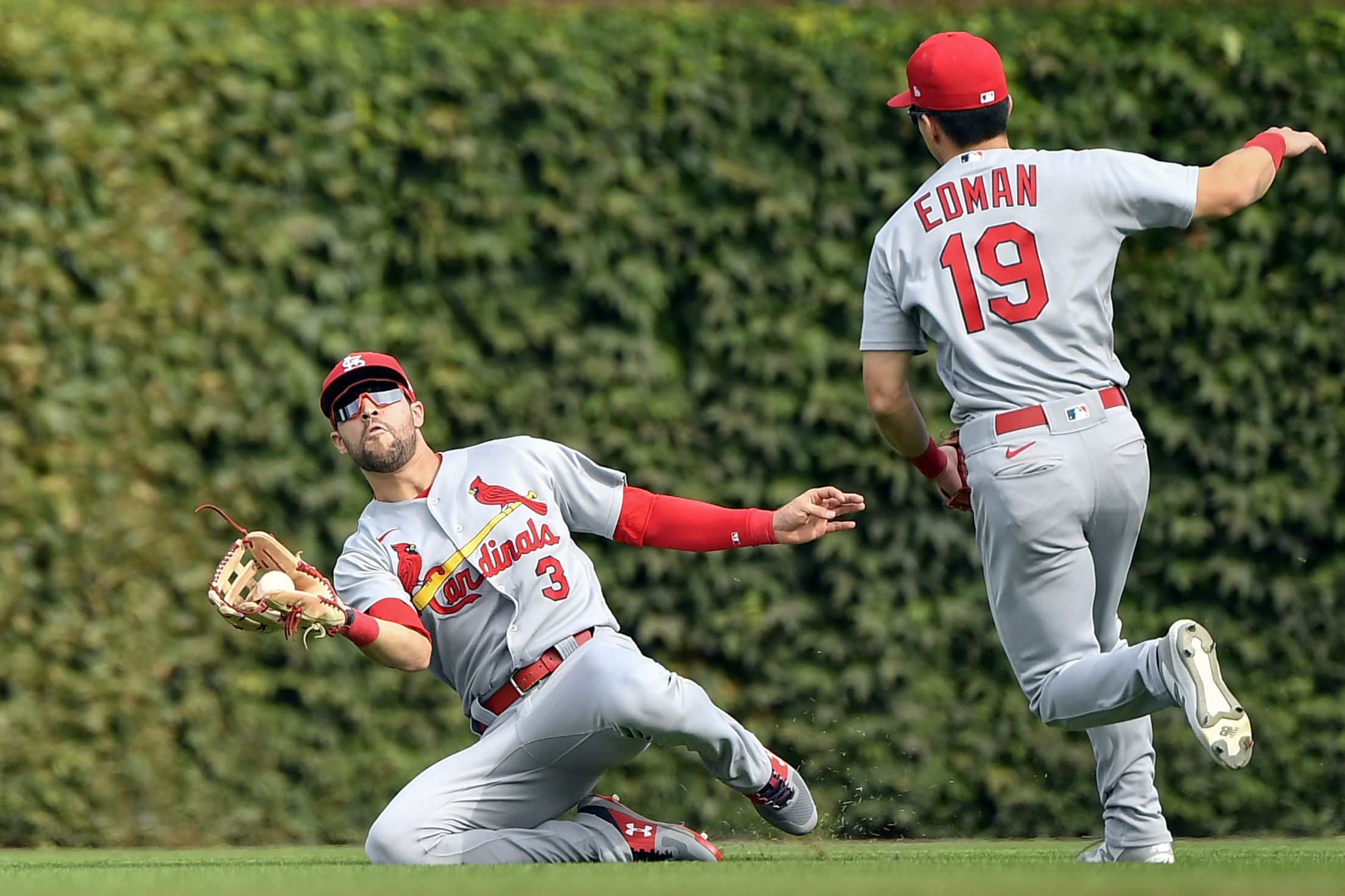 Cardinals Photos St Louis Cardinals