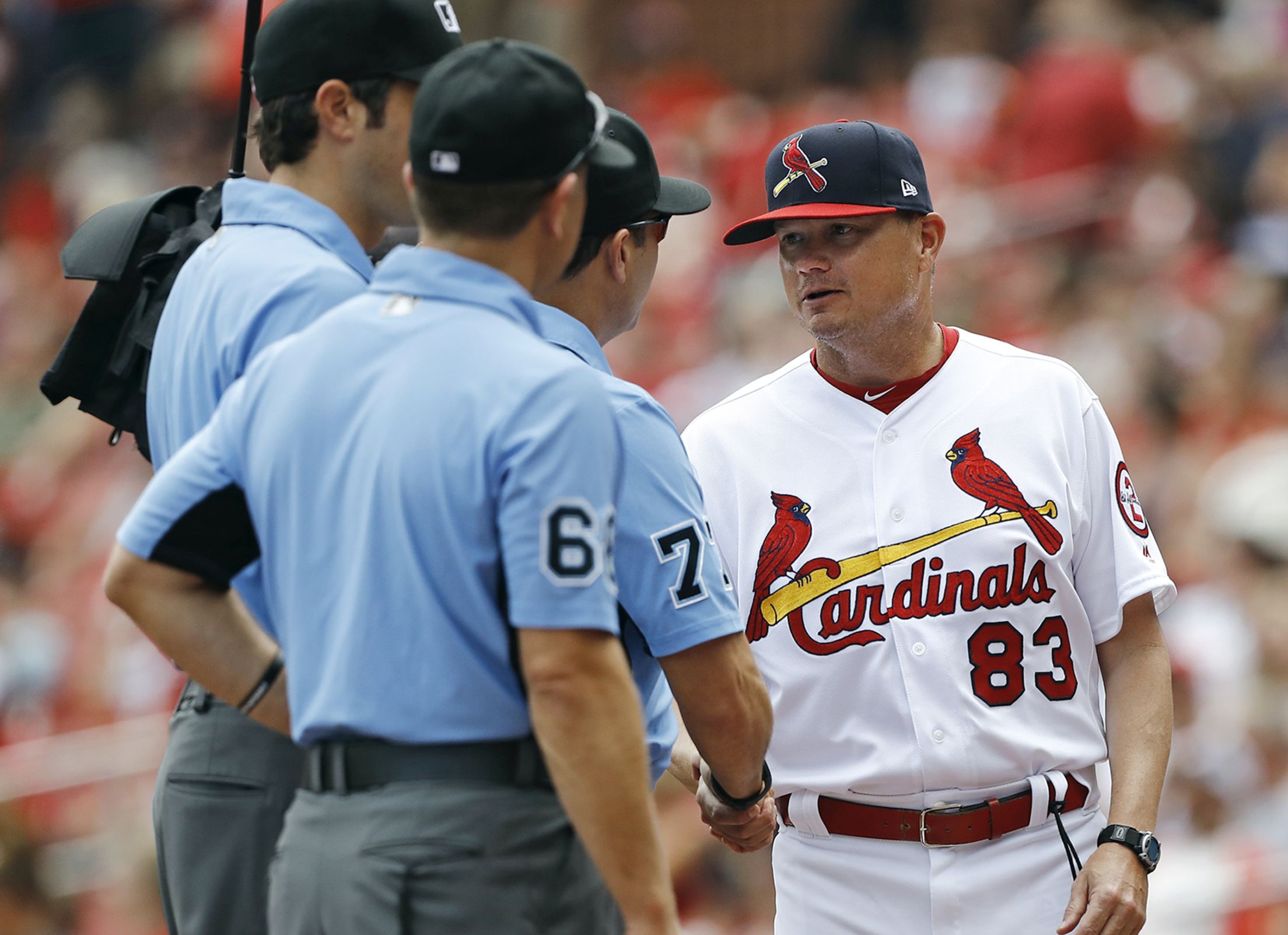 Los Cardenales de Springfield photo day - Cardinals Captures