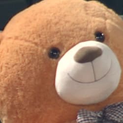 Ketel Marte hits a foul ball that drills a teddy bear 08 20 2020 MLB