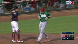 Cincinnati Reds Sebastian Elizalde hitting for the Louisville Bats 