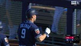 Dusty Coleman Career Stats - MLB - ESPN