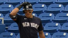 Derek Dietrich, New York Yankees, DH - News, Stats, Bio