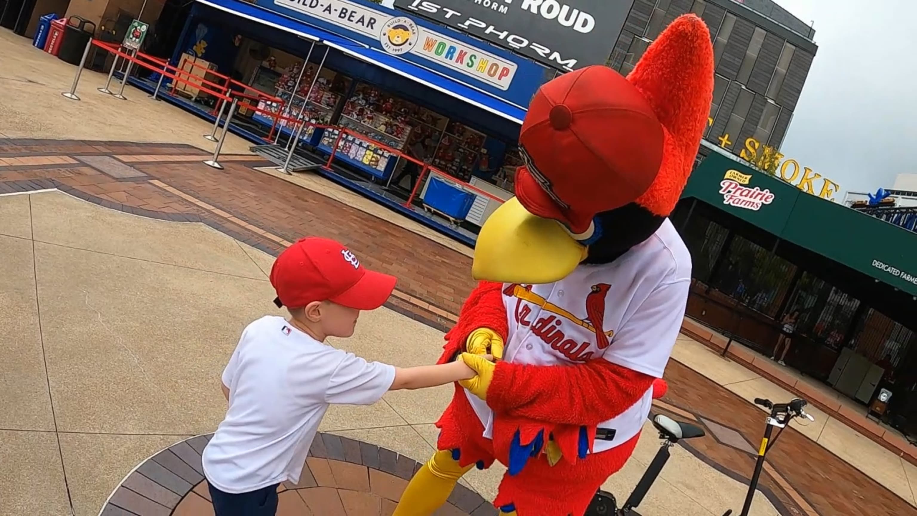 Official Baby St. Louis Cardinals Gear, Toddler, Cardinals Newborn