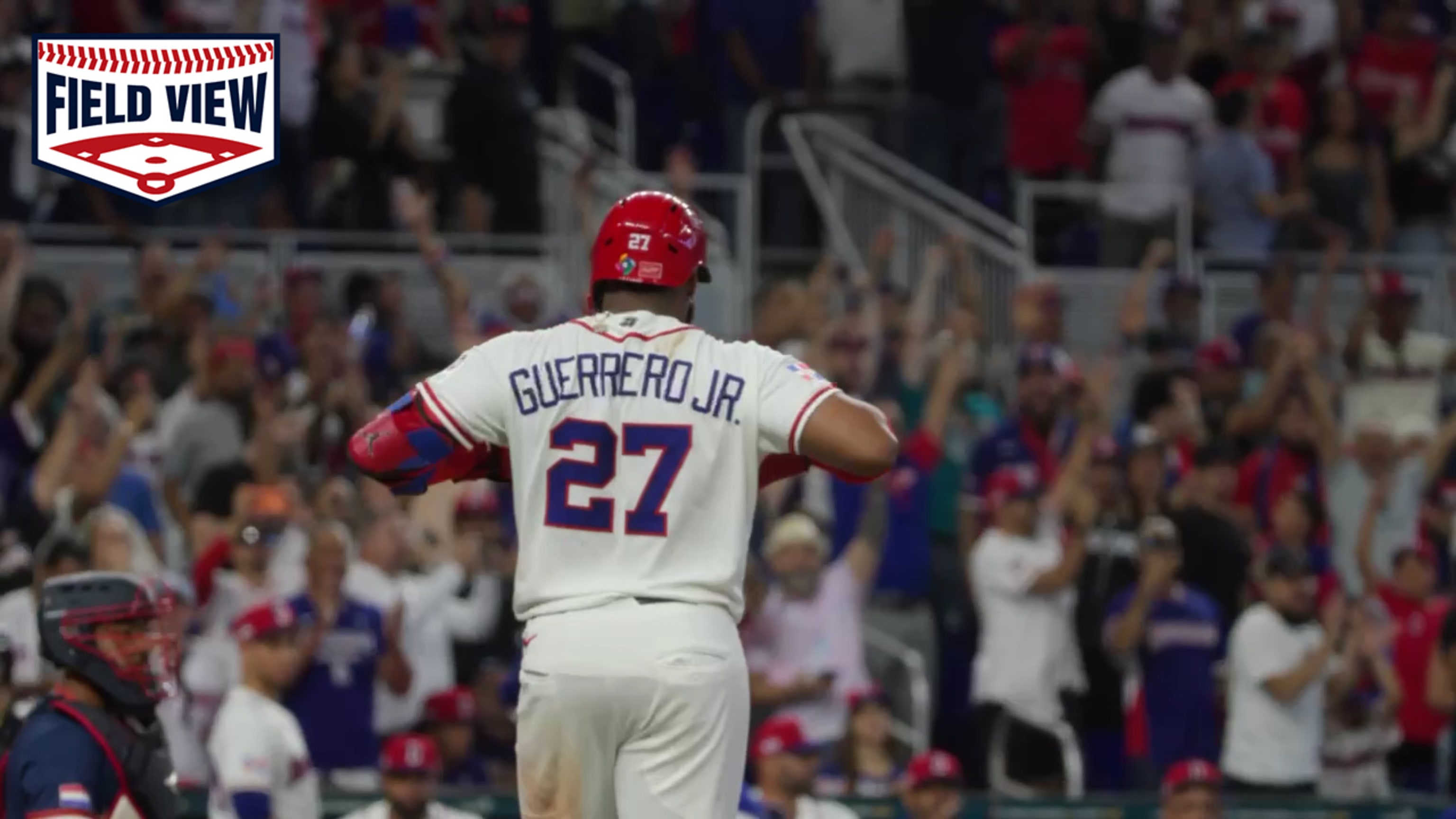 Vista de campo:HR de 2 rayas de Vladimir Guerrero Jr.